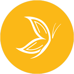 Becoming butterfly Icon